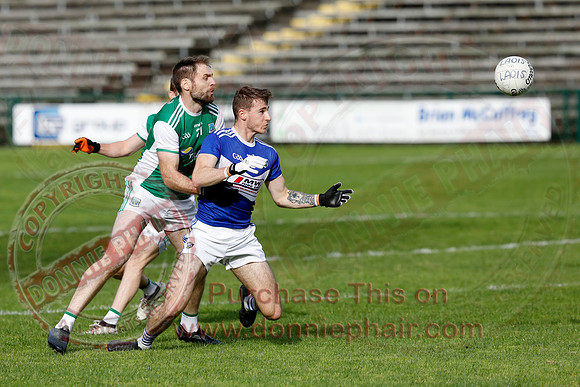 Ferrmanagh (1-11)V Laois (3-12) in National GAA Football League Division Two-28