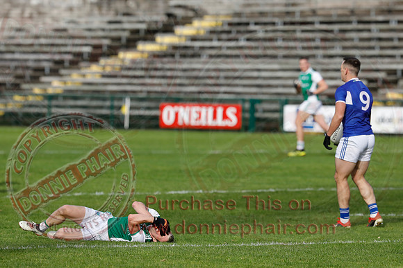 Ferrmanagh (1-11)V Laois (3-12) in National GAA Football League Division Two-29