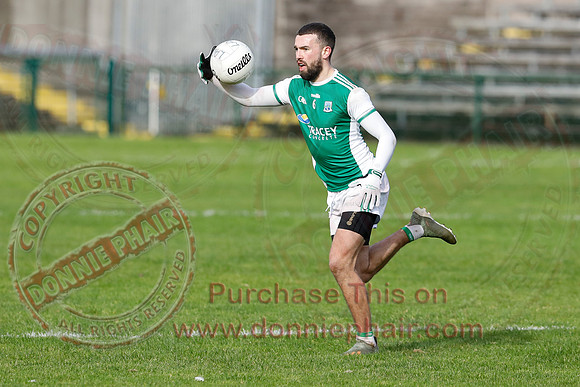 Ferrmanagh (1-11)V Laois (3-12) in National GAA Football League Division Two-31