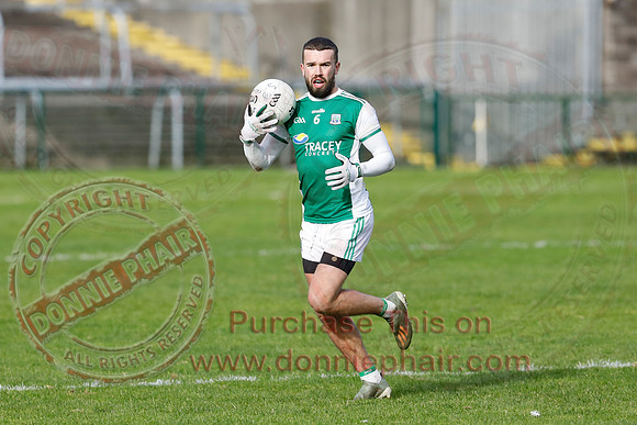Ferrmanagh (1-11)V Laois (3-12) in National GAA Football League Division Two-32