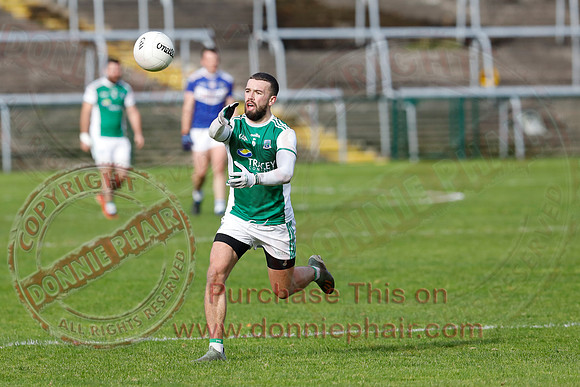Ferrmanagh (1-11)V Laois (3-12) in National GAA Football League Division Two-33