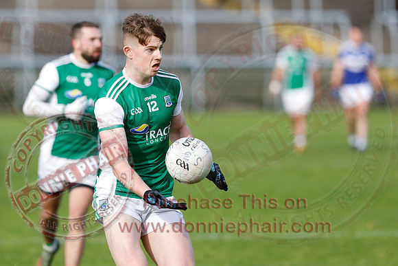 Ferrmanagh (1-11)V Laois (3-12) in National GAA Football League Division Two-34