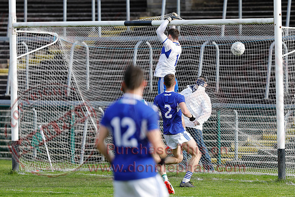 Ferrmanagh (1-11)V Laois (3-12) in National GAA Football League Division Two-35