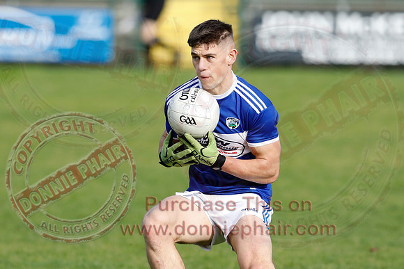 Ferrmanagh (1-11)V Laois (3-12) in National GAA Football League Division Two-37