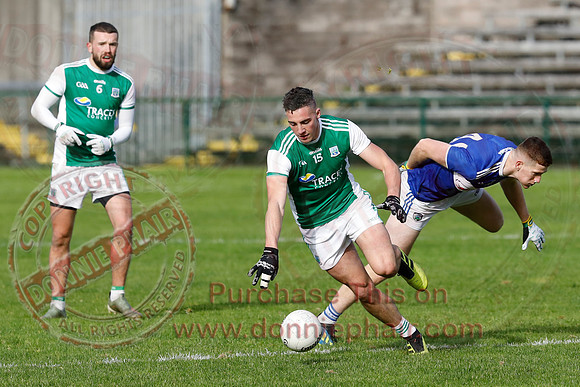 Ferrmanagh (1-11)V Laois (3-12) in National GAA Football League Division Two-38