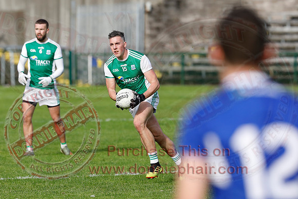 Ferrmanagh (1-11)V Laois (3-12) in National GAA Football League Division Two-39