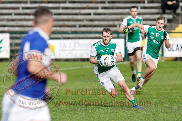 Ferrmanagh (1-11)V Laois (3-12) in National GAA Football League Division Two-40