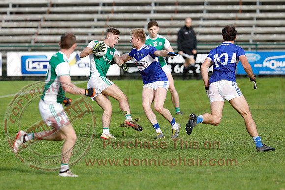 Ferrmanagh (1-11)V Laois (3-12) in National GAA Football League Division Two-43