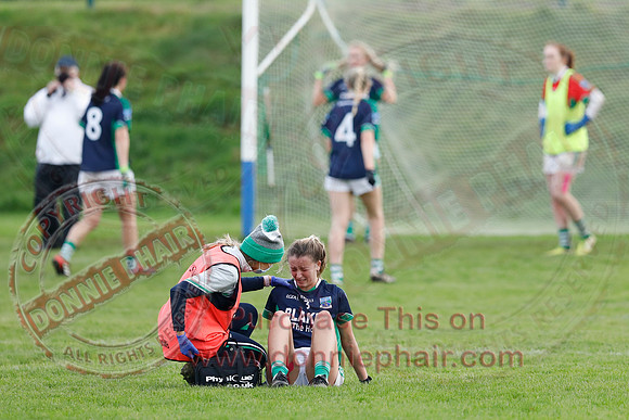 Fermanagh (3-09) V Carlow (2010) in All-Ireland Ladies Junior GAA Football Championship-22