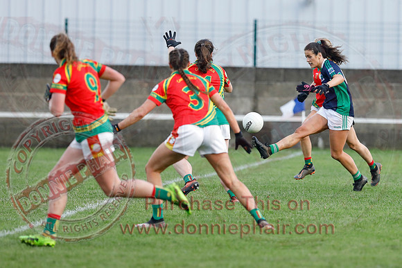 Fermanagh (3-09) V Carlow (2010) in All-Ireland Ladies Junior GAA Football Championship-29