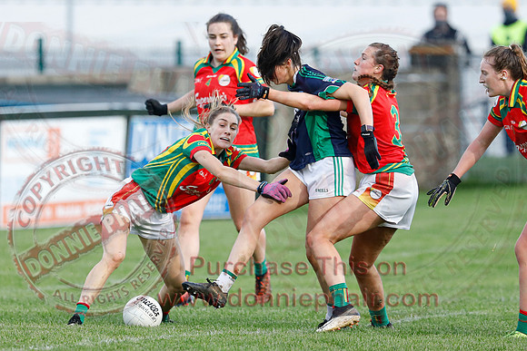Fermanagh (3-09) V Carlow (2010) in All-Ireland Ladies Junior GAA Football Championship-30