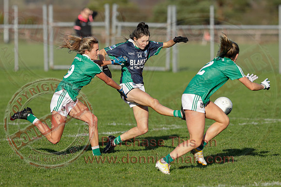 Fermanagh (4-10) V Limerick (4-03) in All-Ireland Ladies Junior GAA Football Championship Semi-Final-18