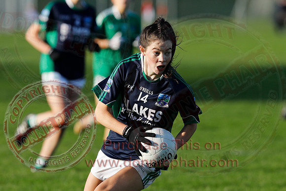 Fermanagh (4-10) V Limerick (4-03) in All-Ireland Ladies Junior GAA Football Championship Semi-Final-28