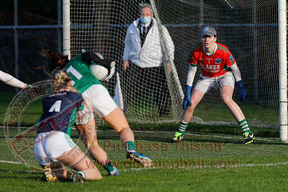 Fermanagh (4-10) V Limerick (4-03) in All-Ireland Ladies Junior GAA Football Championship Semi-Final-34