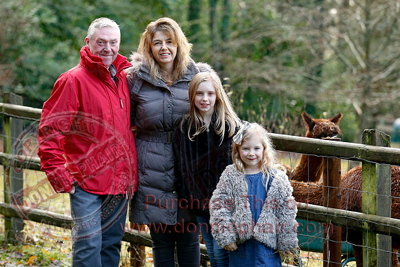 Christmas Trail at Priory Church, Killadeas-2