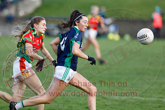 Fermanagh (3-09) V Carlow (2010) in All-Ireland Ladies Junior GAA Football Championship-7
