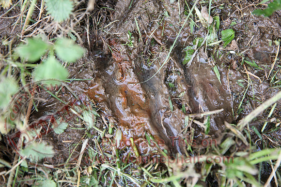 20130507-20130507-ZX2A3926