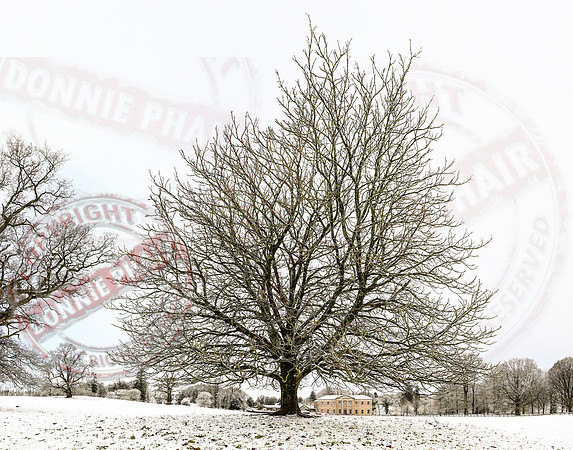 Colebrooke Estate in Winter