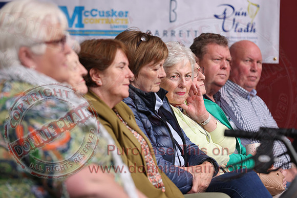 Ulster Fleadh Concert in Dromore-15