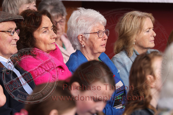 Ulster Fleadh Concert in Dromore-16