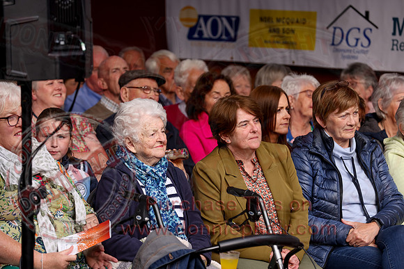Ulster Fleadh Concert in Dromore-24
