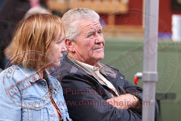 Ulster Fleadh Concert in Dromore-28
