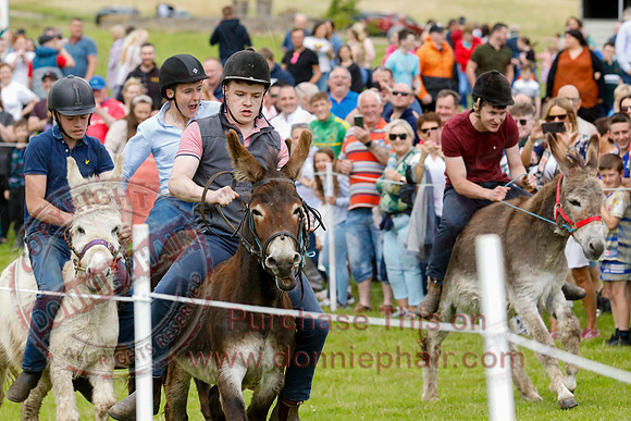 The Lady of the Lake Festival - Donkey Derby-2