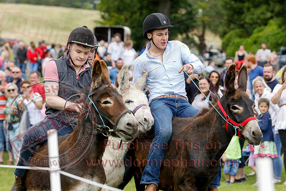The Lady of the Lake Festival - Donkey Derby-3