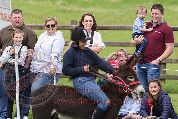 The Lady of the Lake Festival - Donkey Derby-5