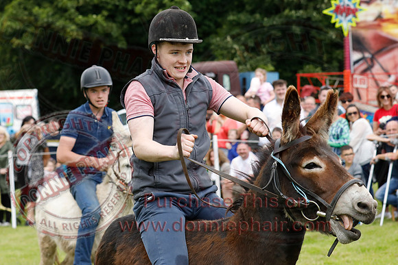 The Lady of the Lake Festival - Donkey Derby-4