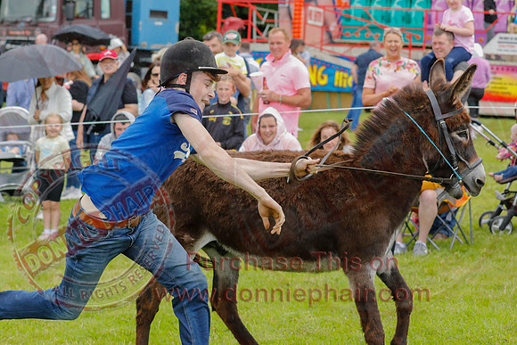 The Lady of the Lake Festival - Donkey Derby-10