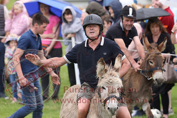 The Lady of the Lake Festival - Donkey Derby-11
