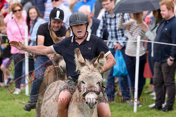 The Lady of the Lake Festival - Donkey Derby-13