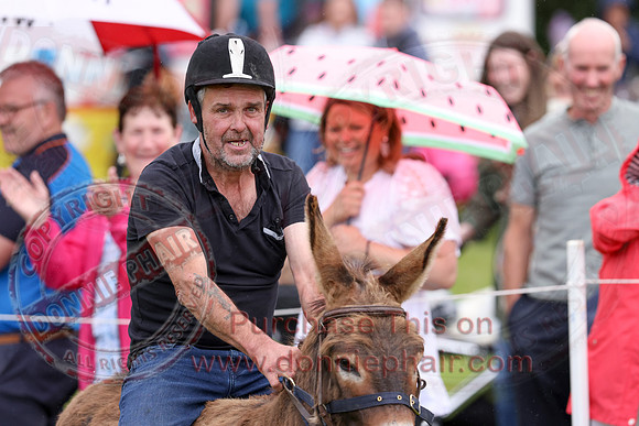 The Lady of the Lake Festival - Donkey Derby-15