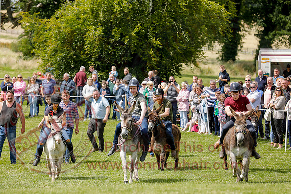 The Lady of the Lake Festival - Donkey Derby-17