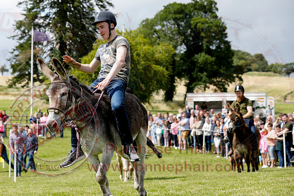 The Lady of the Lake Festival - Donkey Derby-19