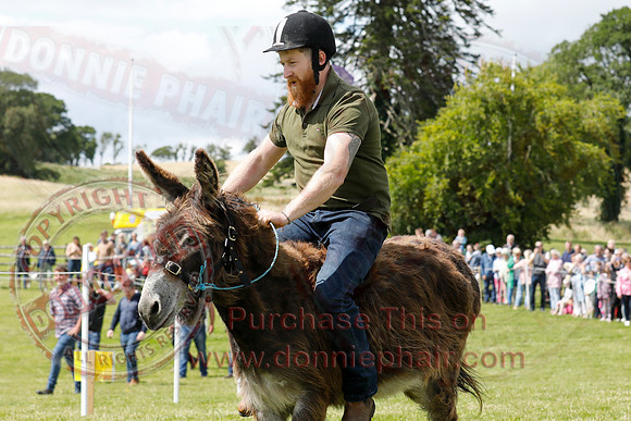 The Lady of the Lake Festival - Donkey Derby-21