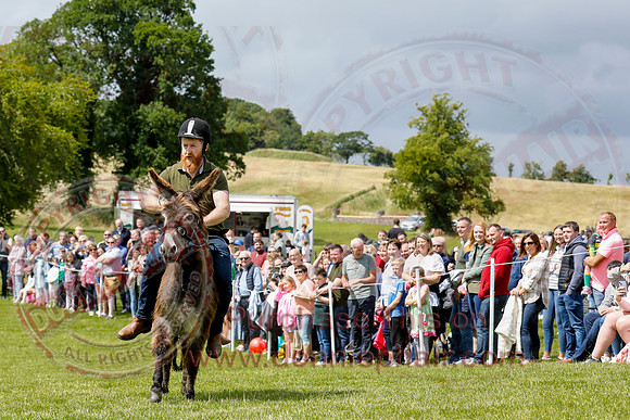 The Lady of the Lake Festival - Donkey Derby-20