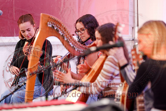 Ulster Fleadh Concert in Dromore-6