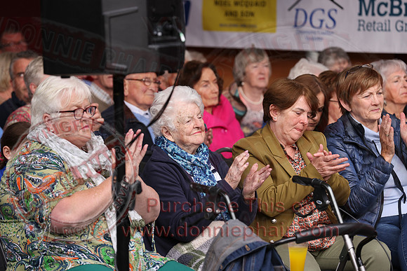 Ulster Fleadh Concert in Dromore-13