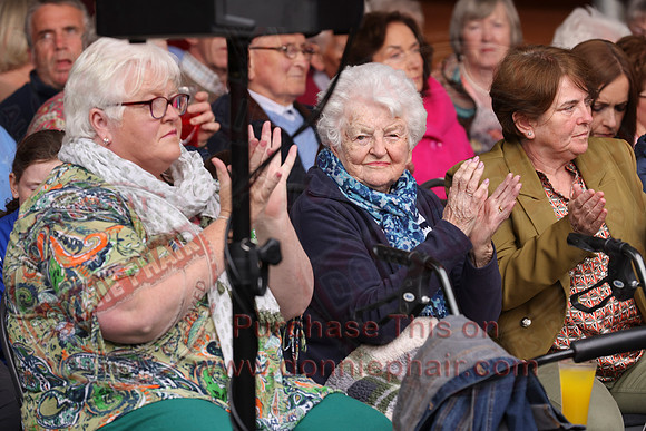 Ulster Fleadh Concert in Dromore-14