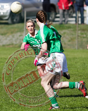Fermanagh Cladies V Clare in GAA Football.