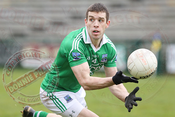 Fermanagh (2-20) V Wexford (3-8) in Allianz National Football League Division 3.