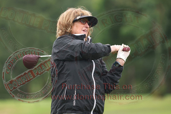 Lady Presidents Day at Enniskillen Golf Club-3