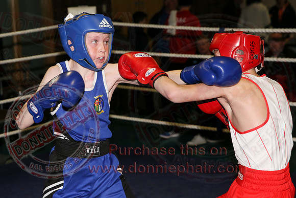 Erne Boxing Club Open Boxing Tournament