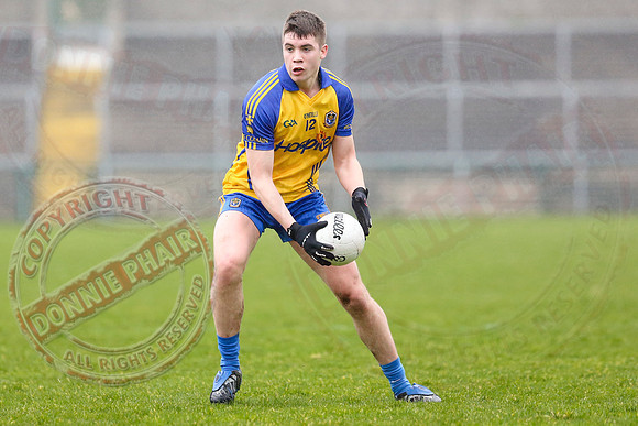 Fermanagh (4-10) V Roscommon (3-17) in Allianz National Football League Division 3.