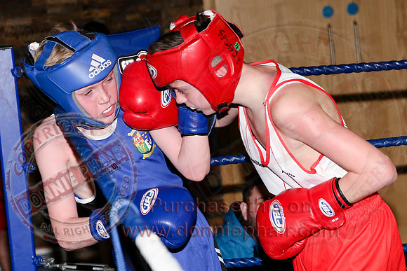 Erne Boxing Club Open Boxing Tournament