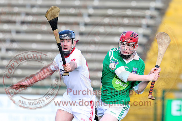 Fermanagh (2-8) V Tyrone (4-13) in Allianz Hurling League Division 3A