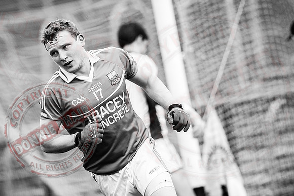 Fermanagh (2-20) V Wexford (3-8) in Allianz National Football League Division 3.