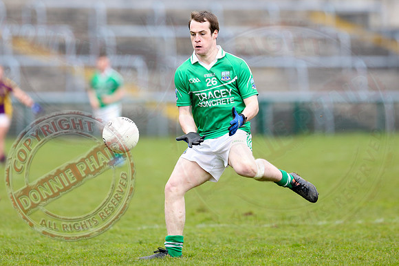 Fermanagh (2-20) V Wexford (3-8) in Allianz National Football League Division 3.